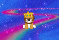 Awesome closeup of lion guy